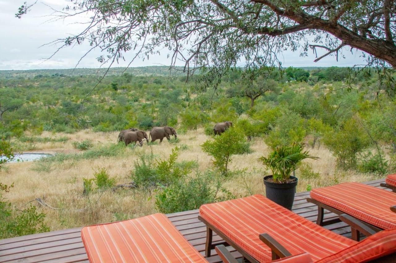 Casart Game Lodge Grietjie Game Reserve Ngoại thất bức ảnh