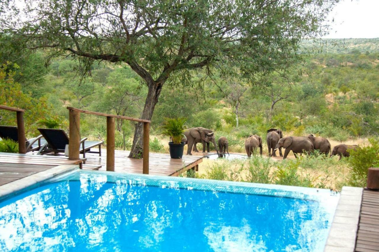 Casart Game Lodge Grietjie Game Reserve Ngoại thất bức ảnh