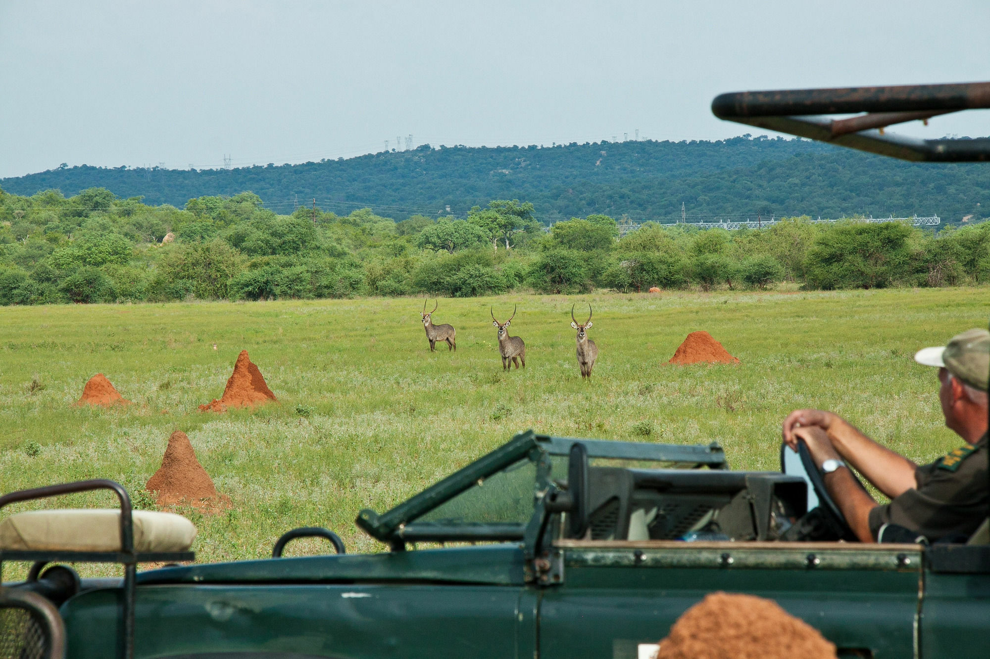 Casart Game Lodge Grietjie Game Reserve Ngoại thất bức ảnh
